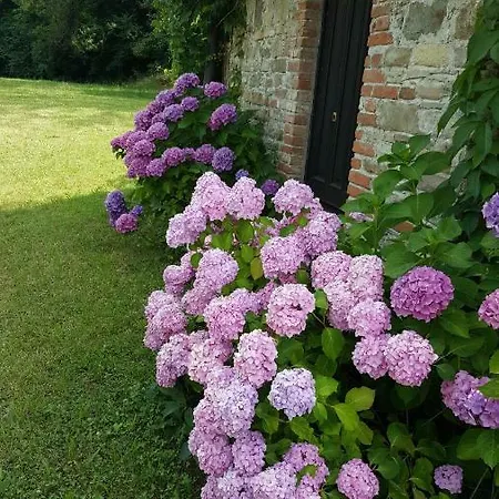 Tenuta Cascina Masseria *